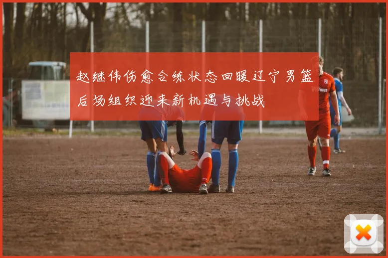 赵继伟伤愈合练状态回暖辽宁男篮后场组织迎来新机遇与挑战