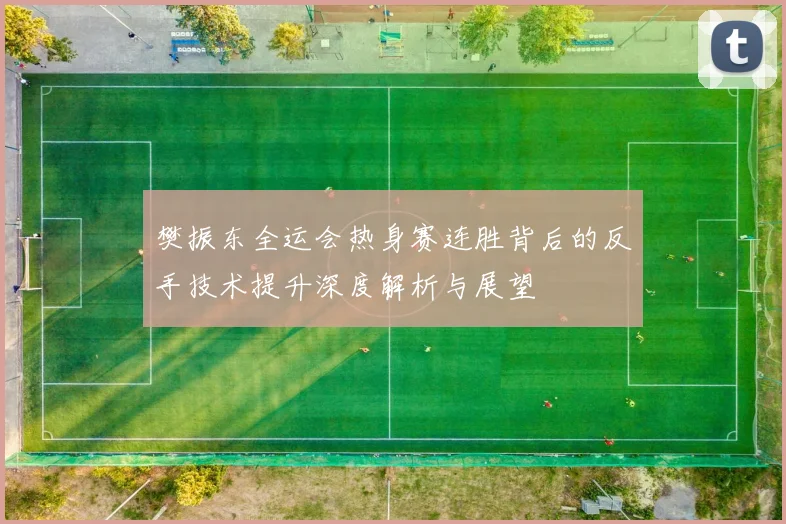 樊振东全运会热身赛连胜背后的反手技术提升深度解析与展望