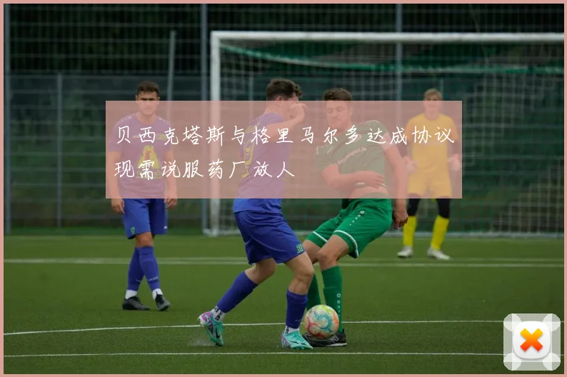 贝西克塔斯与格里马尔多达成协议现需说服药厂放人